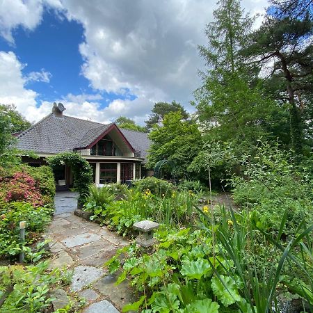 Sjieke Gezellige Villa In Het Bos Lieshout Exteriör bild