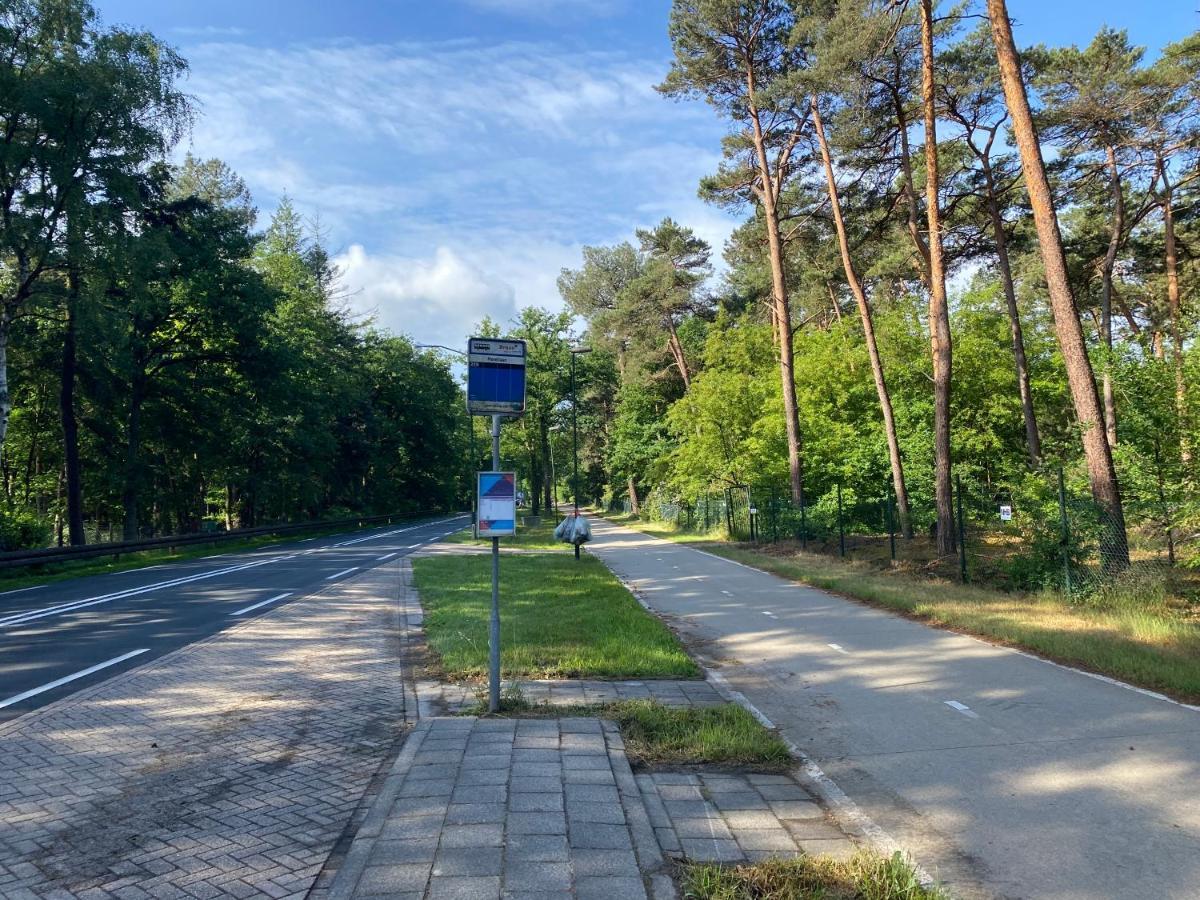 Sjieke Gezellige Villa In Het Bos Lieshout Exteriör bild