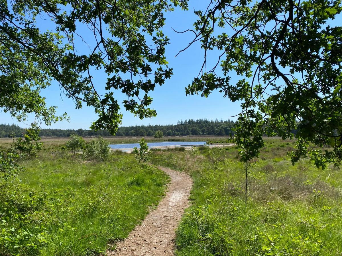 Sjieke Gezellige Villa In Het Bos Lieshout Exteriör bild