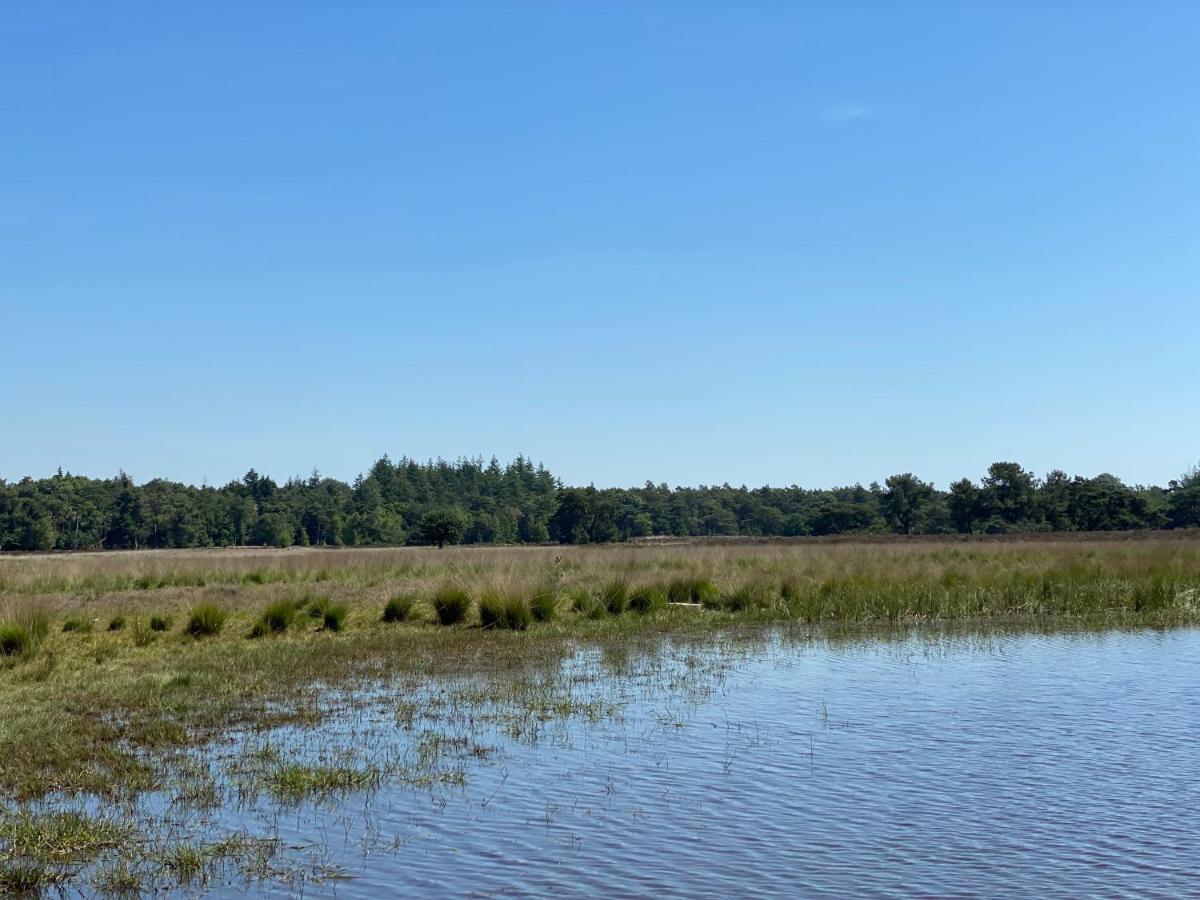 Sjieke Gezellige Villa In Het Bos Lieshout Exteriör bild
