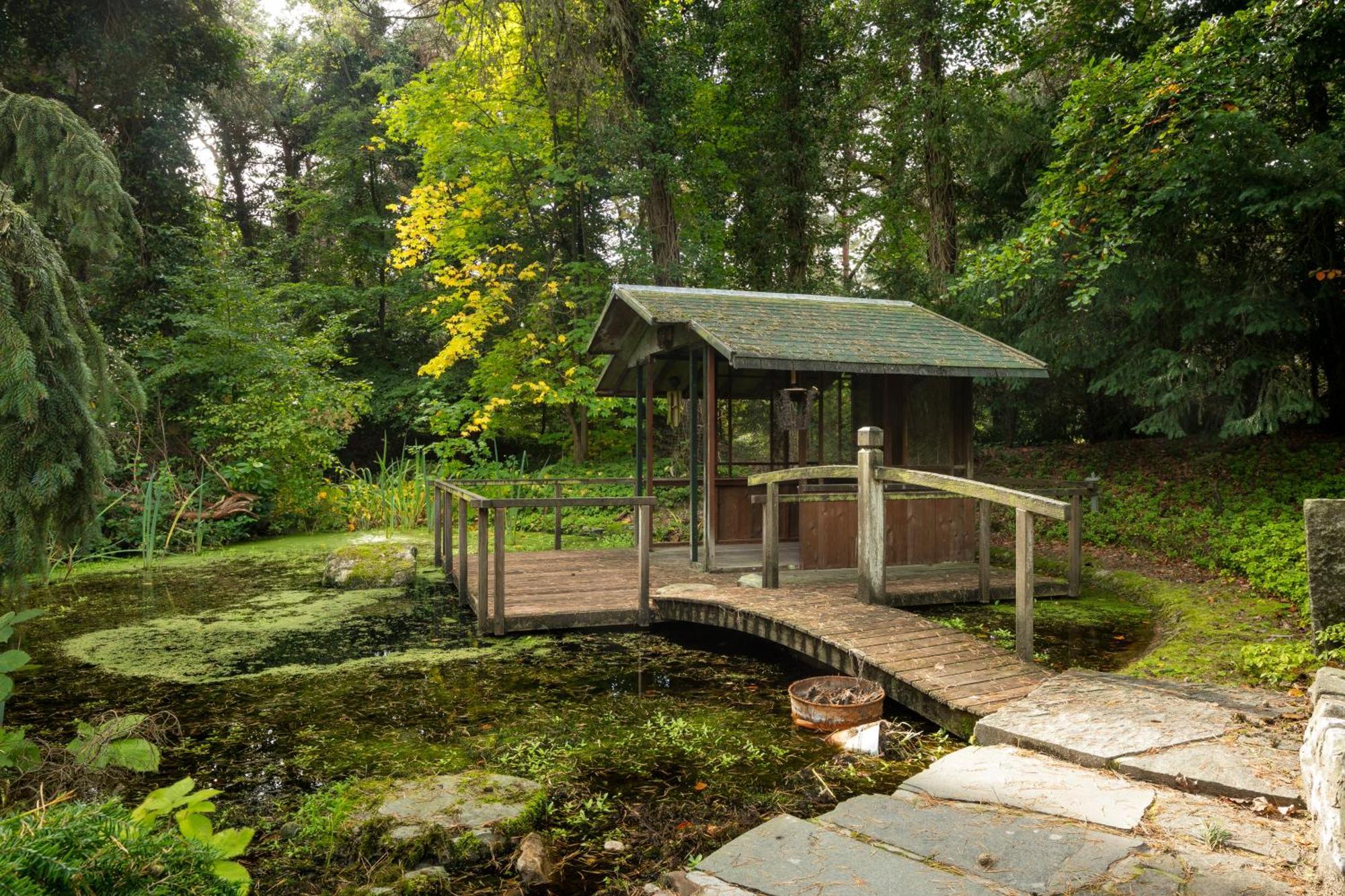 Sjieke Gezellige Villa In Het Bos Lieshout Exteriör bild